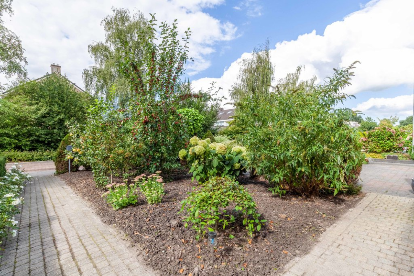 Langhof 6 Surhuisterveen - Afbeelding 4.jpg