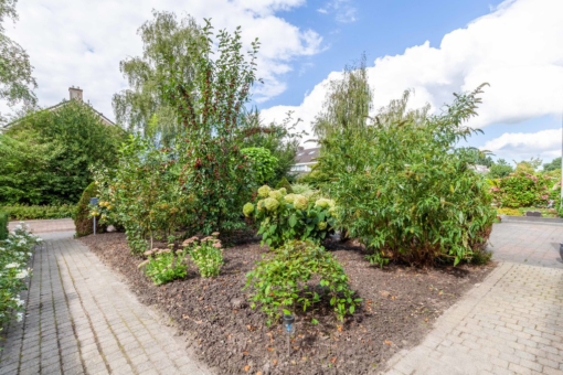 Langhof 6 Surhuisterveen - Afbeelding 4.jpg