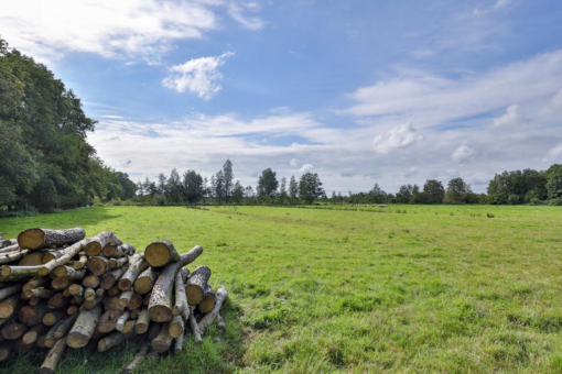 Legeloane 6 Augustinusga - Afbeelding 39.jpg