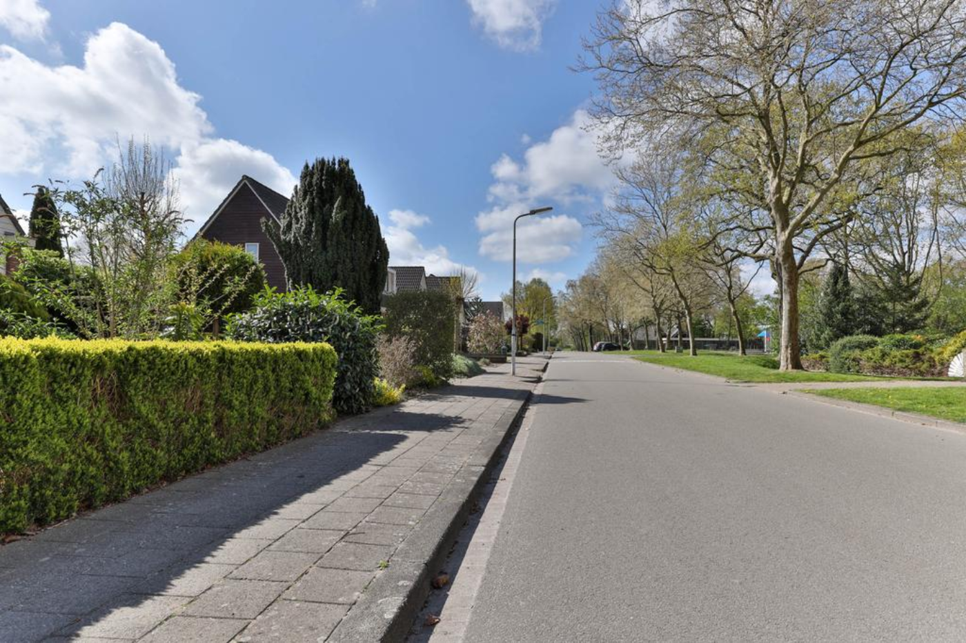 Linthorst Homanloane 42 Kootstertille - Afbeelding 5.jpg