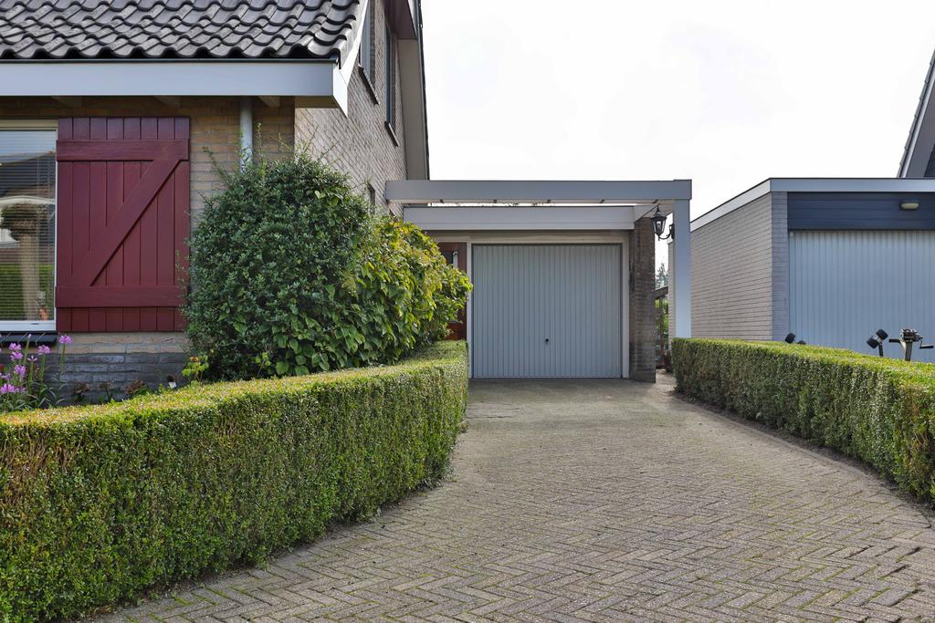 Lisdodde 4 Kollum - Afbeelding 44.jpg