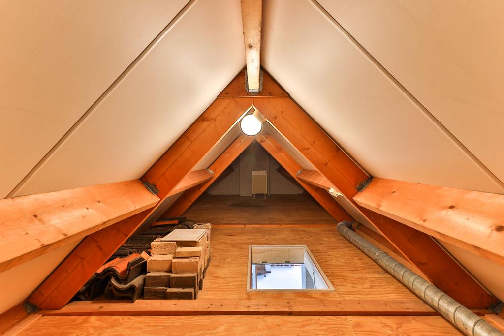 Lisdodde 4 Kollum - Afbeelding 45.jpg