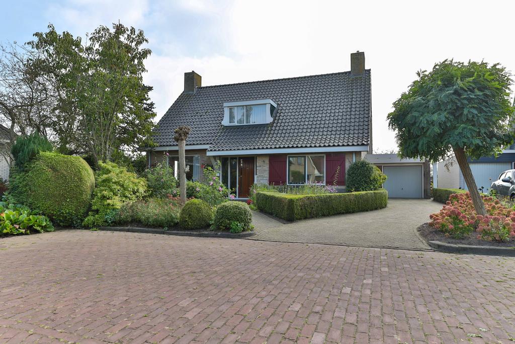 Lisdodde 4 Kollum - Afbeelding 5.jpg