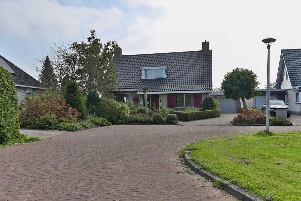 Lisdodde 4 Kollum - Afbeelding 7.jpg