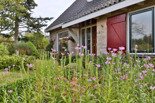 Lisdodde 4 Kollum - Afbeelding 10.jpg