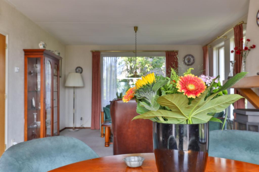 Lisdodde 4 Kollum - Afbeelding 20.jpg