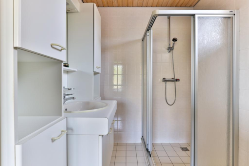 Lisdodde 4 Kollum - Afbeelding 26.jpg