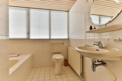 Lisdodde 4 Kollum - Afbeelding 43.jpg