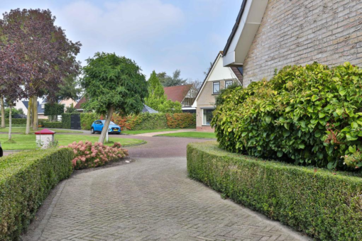 Lisdodde 4 Kollum - Afbeelding 46.jpg