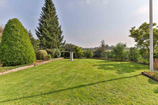 Lisdodde 4 Kollum - Afbeelding 54.jpg