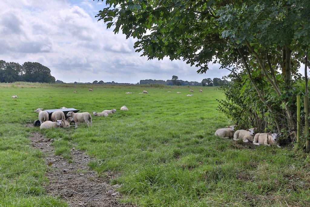 Lytse Wei 7a Ingwierrum - Afbeelding 38.jpg