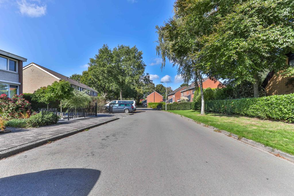 Master de Boerstrjitte 14 Boelenslaan - Afbeelding 55.jpg