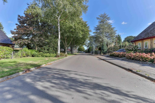 Master de Boerstrjitte 14 Boelenslaan - Afbeelding 54.jpg