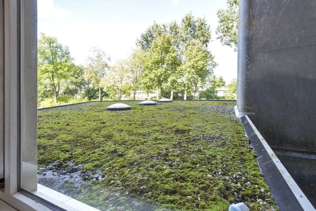 Meerpaal 53 Groningen - Afbeelding 32.jpg