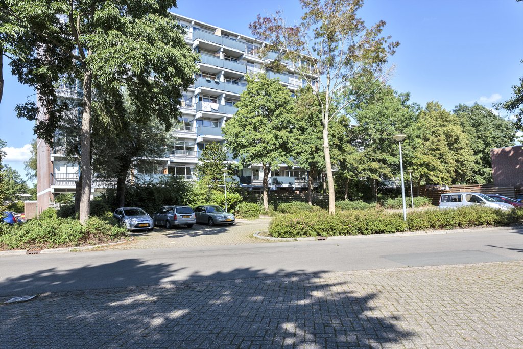 Meerpaal 53 Groningen - Hoofdafbeelding.jpg