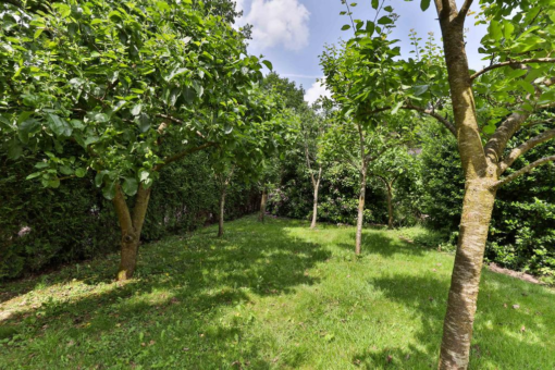 Meidoornstraat 13 Grootegast - Afbeelding 51.jpg