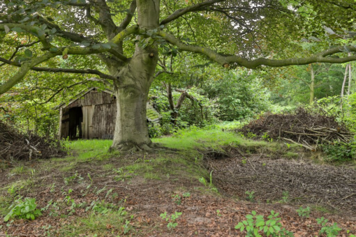 Mensumaweg 18 Tolbert - Afbeelding 21.jpg