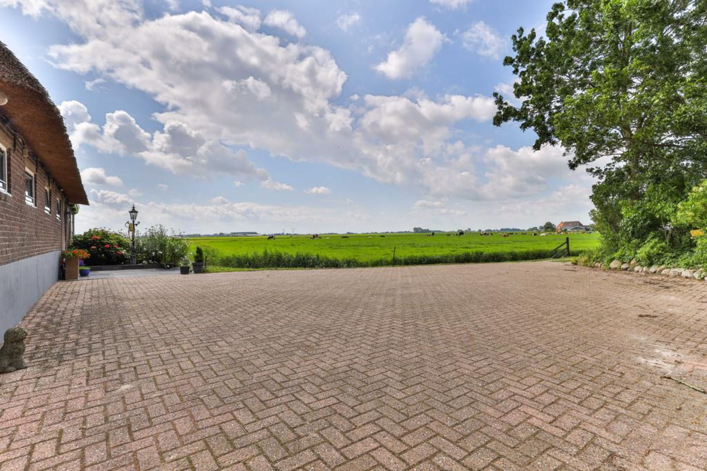 Mieddyk 3 Hegebeintum - Afbeelding 4.jpg