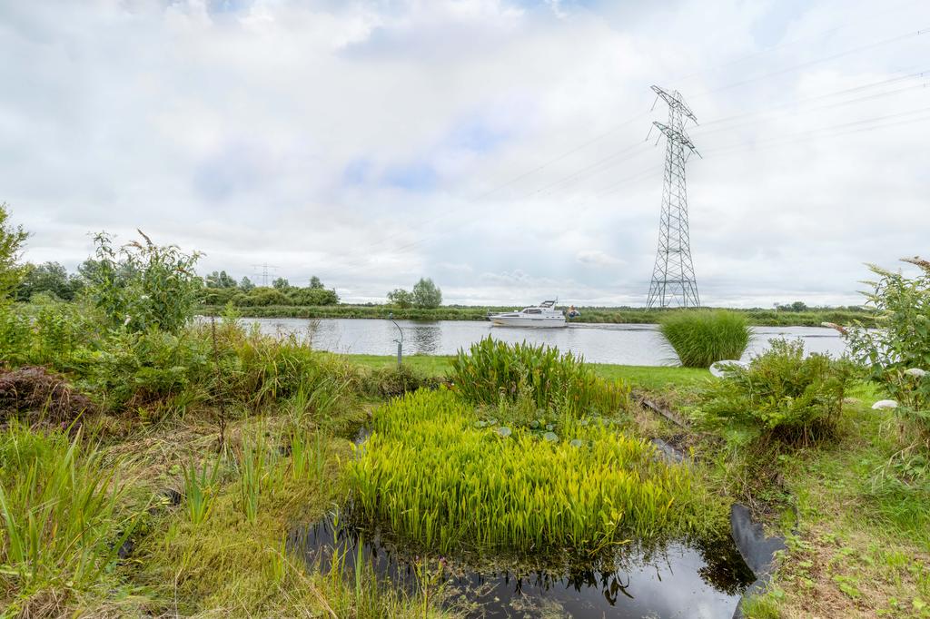 Muntsetille 7 Kootstertille - Afbeelding 2.jpg