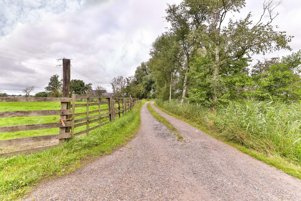 Muntsetille 7 Kootstertille - Afbeelding 74.jpg