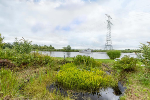 Muntsetille 7 Kootstertille - Afbeelding 2.jpg