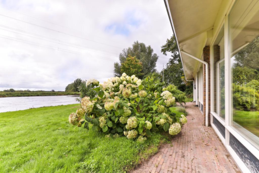 Muntsetille 7 Kootstertille - Afbeelding 17.jpg