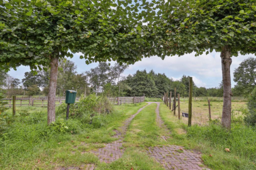 Muntsetille 7 Kootstertille - Afbeelding 70.jpg