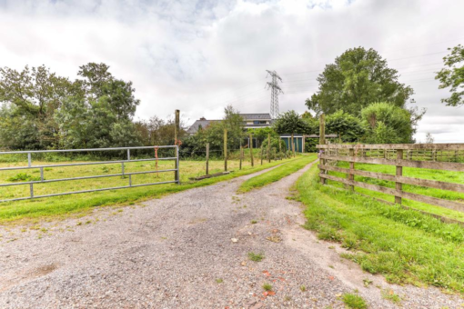 Muntsetille 7 Kootstertille - Afbeelding 73.jpg