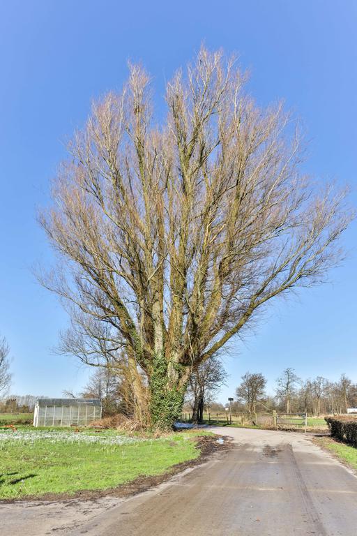 Muntsgroppe 9 Rottevalle - Afbeelding 20.jpg