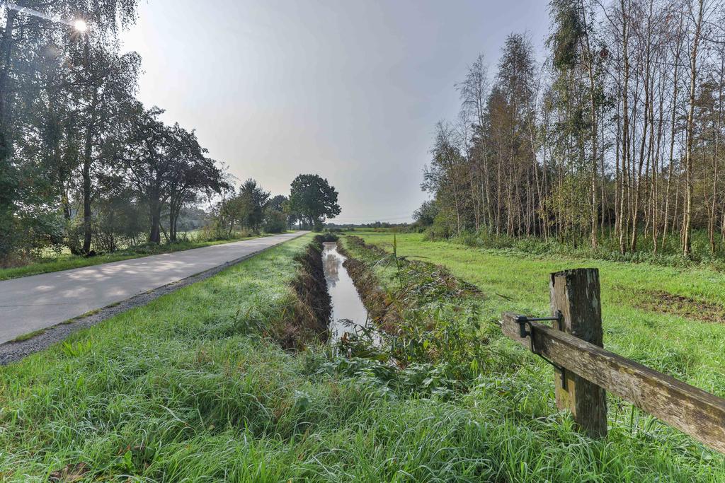 Nonnepaed 1 Kootstertille - Afbeelding 41.jpg