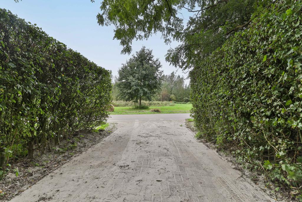 Nonnepaed 1 Kootstertille - Afbeelding 8.jpg