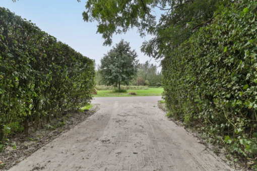 Nonnepaed 1 Kootstertille - Afbeelding 8.jpg