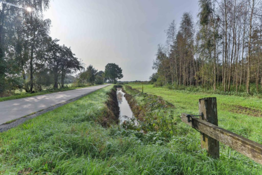 Nonnepaed 1 Kootstertille - Afbeelding 41.jpg