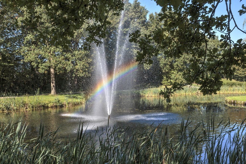 Notoaristuun 14 Grootegast - Afbeelding 53.jpg