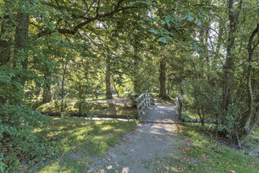 Notoaristuun 14 Grootegast - Afbeelding 31.jpg