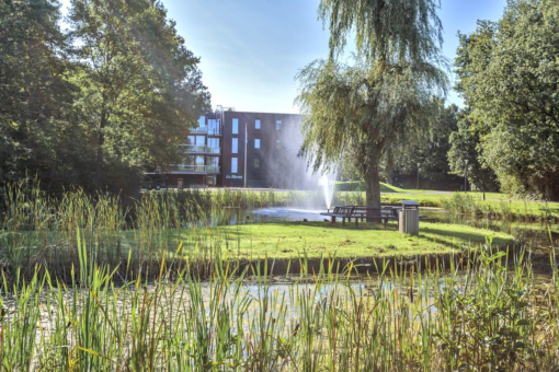 Notoaristuun 14 Grootegast - Afbeelding 32.jpg