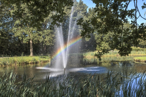 Notoaristuun 14 Grootegast - Afbeelding 53.jpg