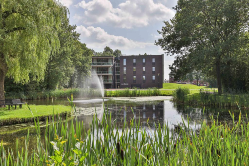 Notoaristuun 20 Grootegast - Afbeelding 50.jpg