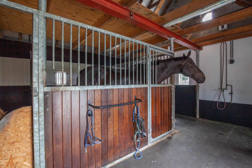 Oost 8+land Buitenpost - Afbeelding 77.jpg