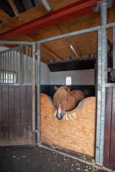 Oost 8+land Buitenpost - Afbeelding 44.jpg