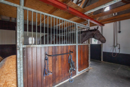 Oost 8+land Buitenpost - Afbeelding 77.jpg