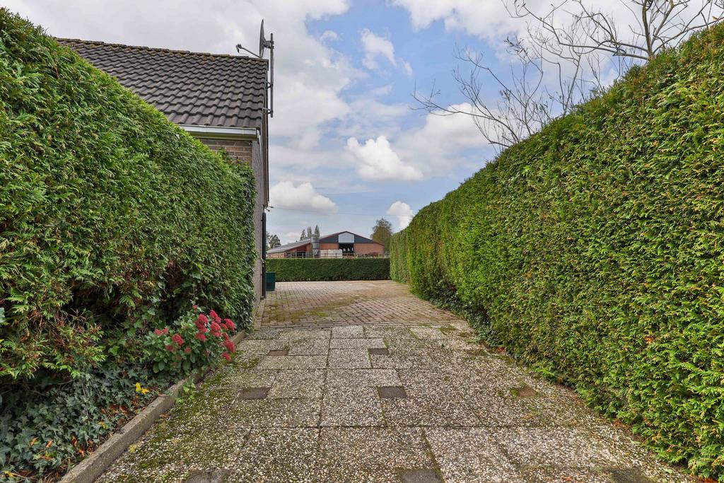 Oost 9 Buitenpost - Afbeelding 20.jpg