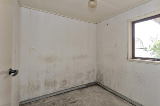 Optwizel 83 Twijzel - Afbeelding 22.jpg