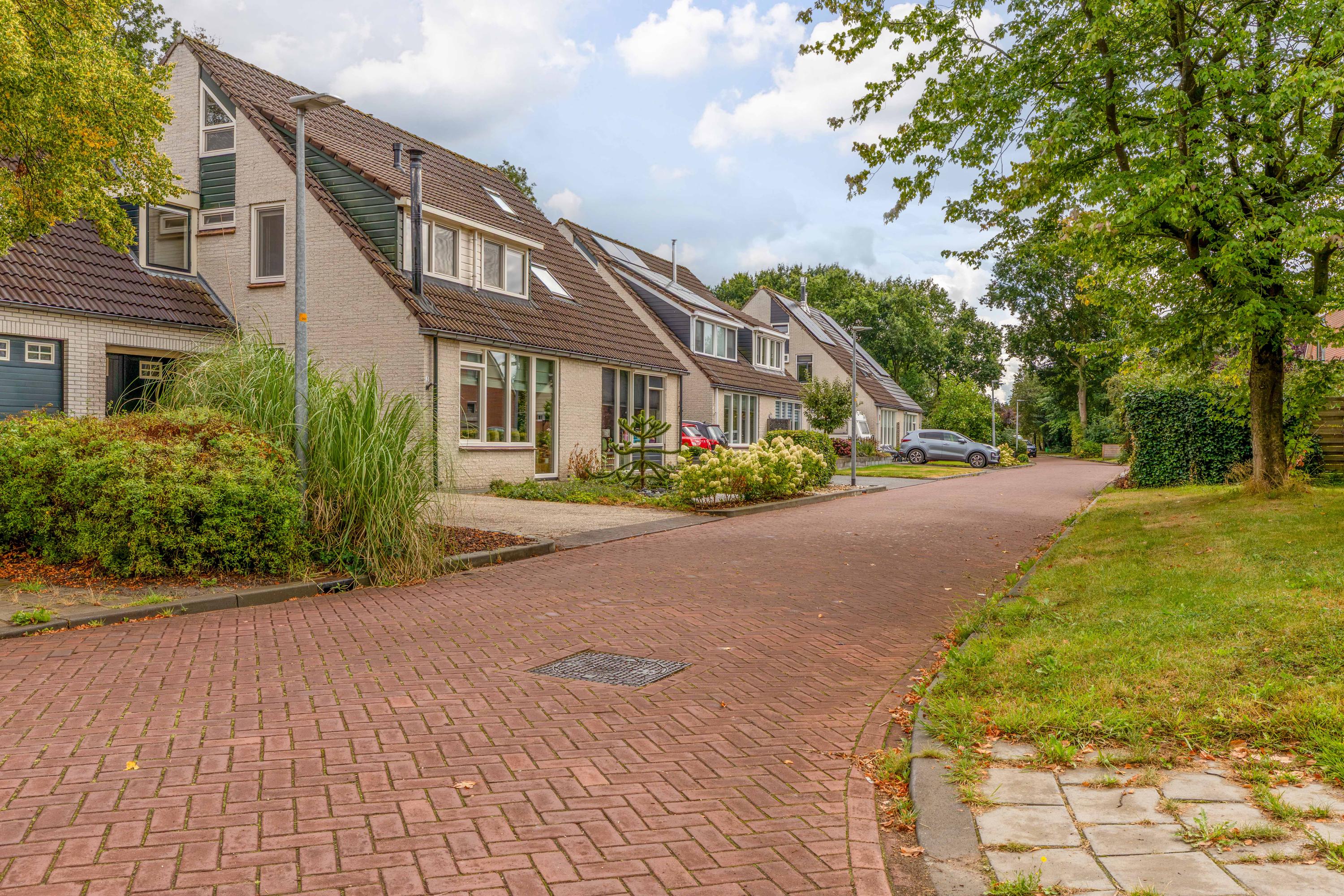 Patrijs 2 Grijpskerk - Afbeelding 60.jpg