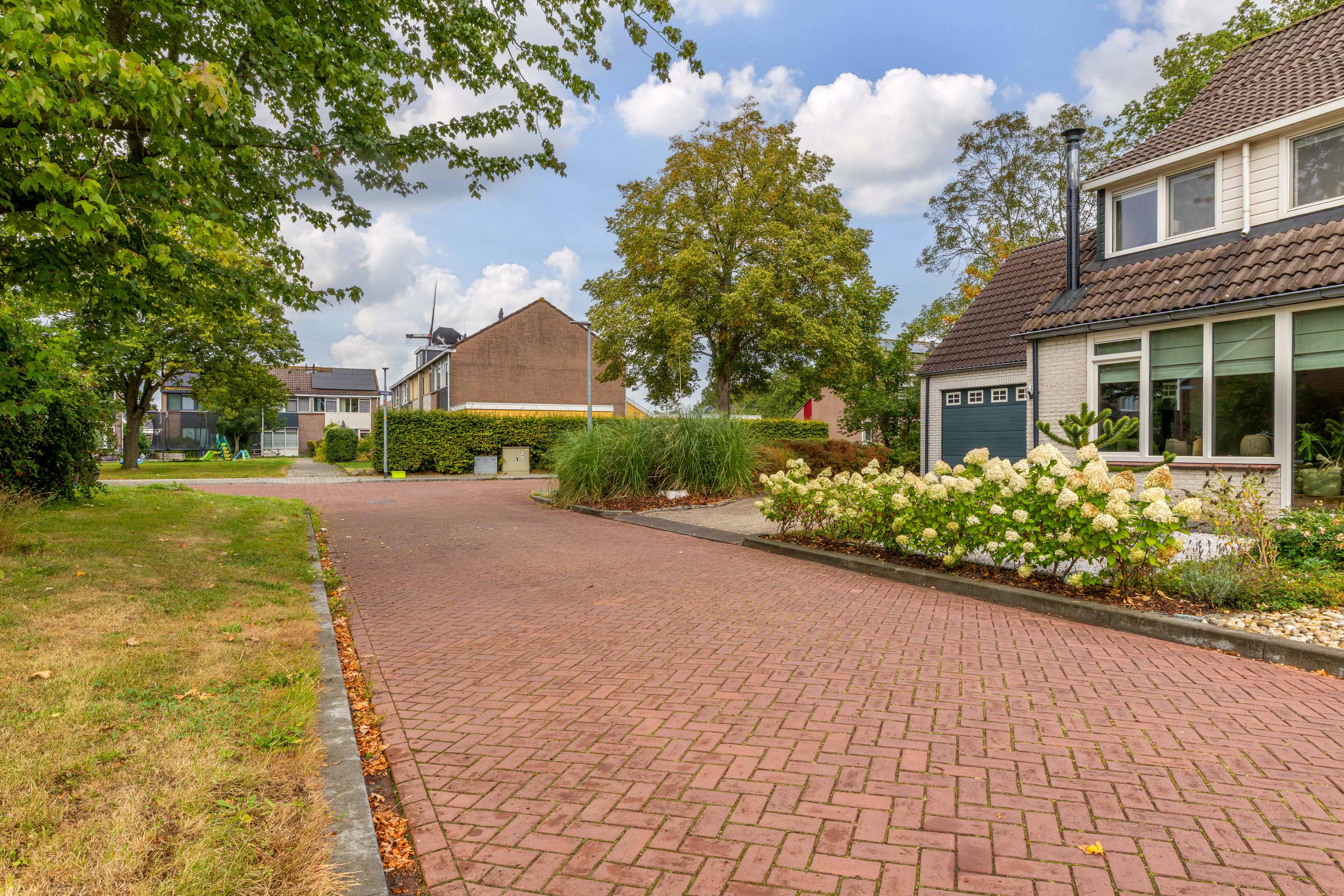 Patrijs 2 Grijpskerk - Afbeelding 61.jpg