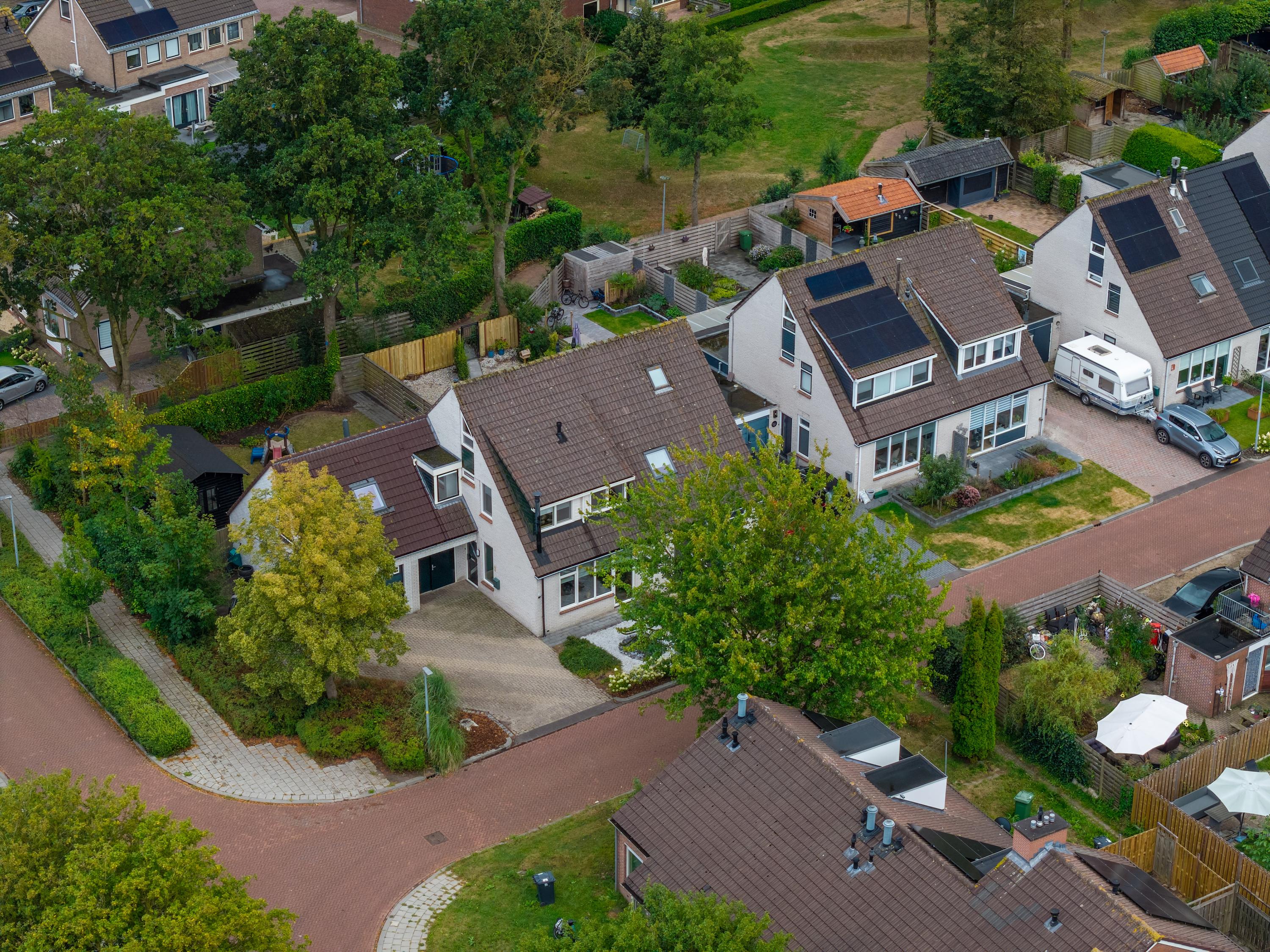 Patrijs 2 Grijpskerk - Afbeelding 63.jpg