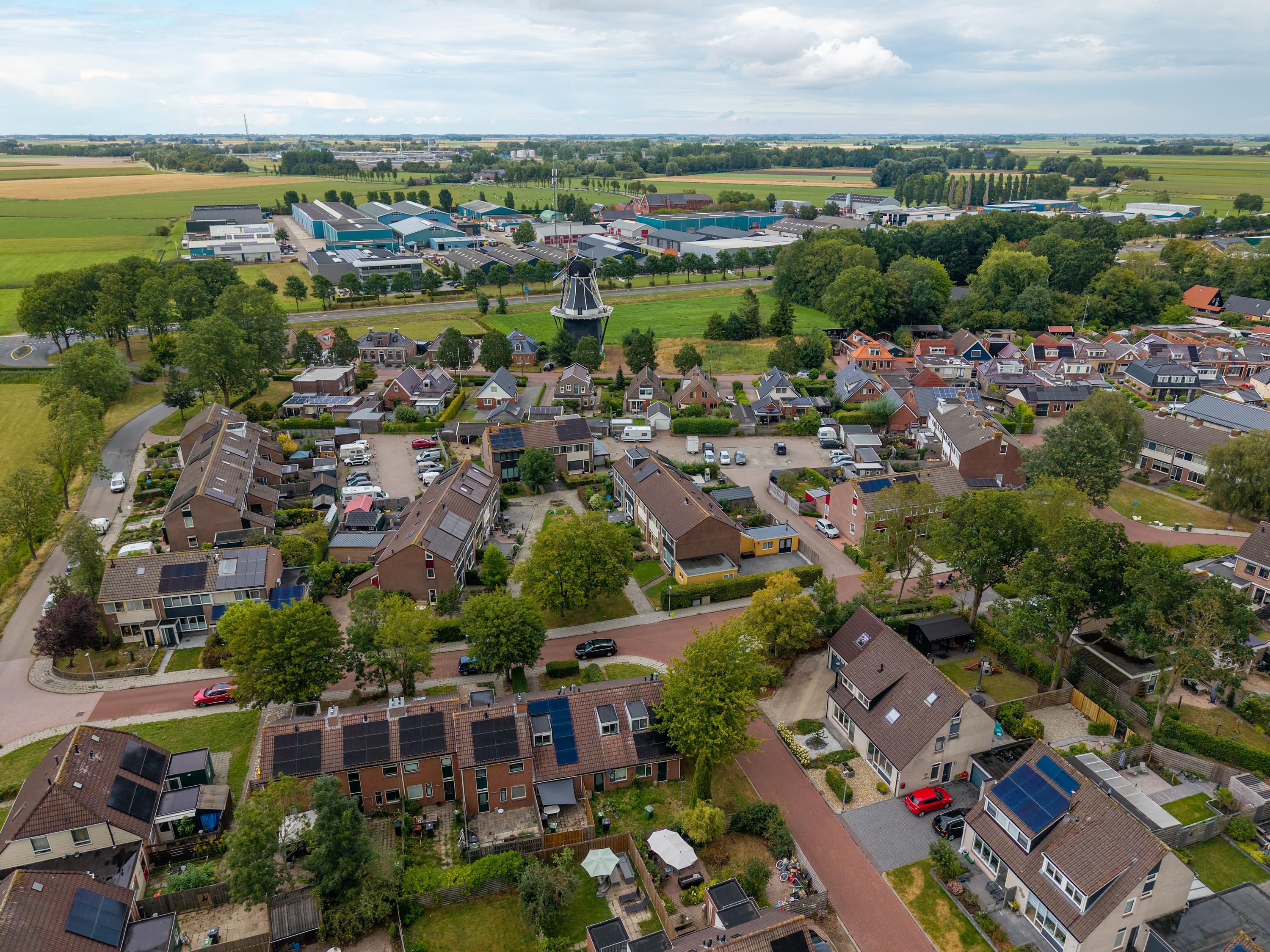 Patrijs 2 Grijpskerk - Afbeelding 65.jpg