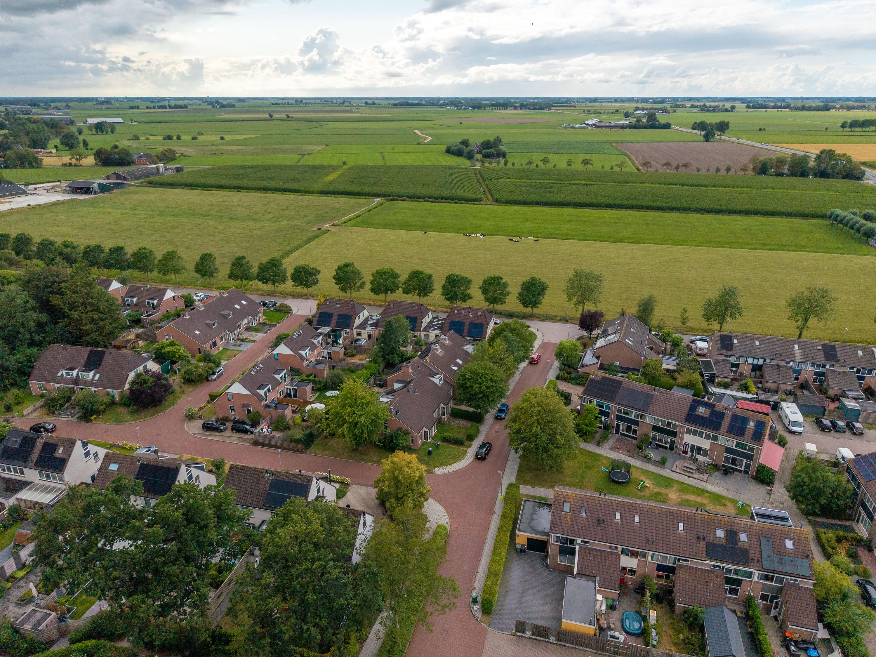 Patrijs 2 Grijpskerk - Afbeelding 66.jpg