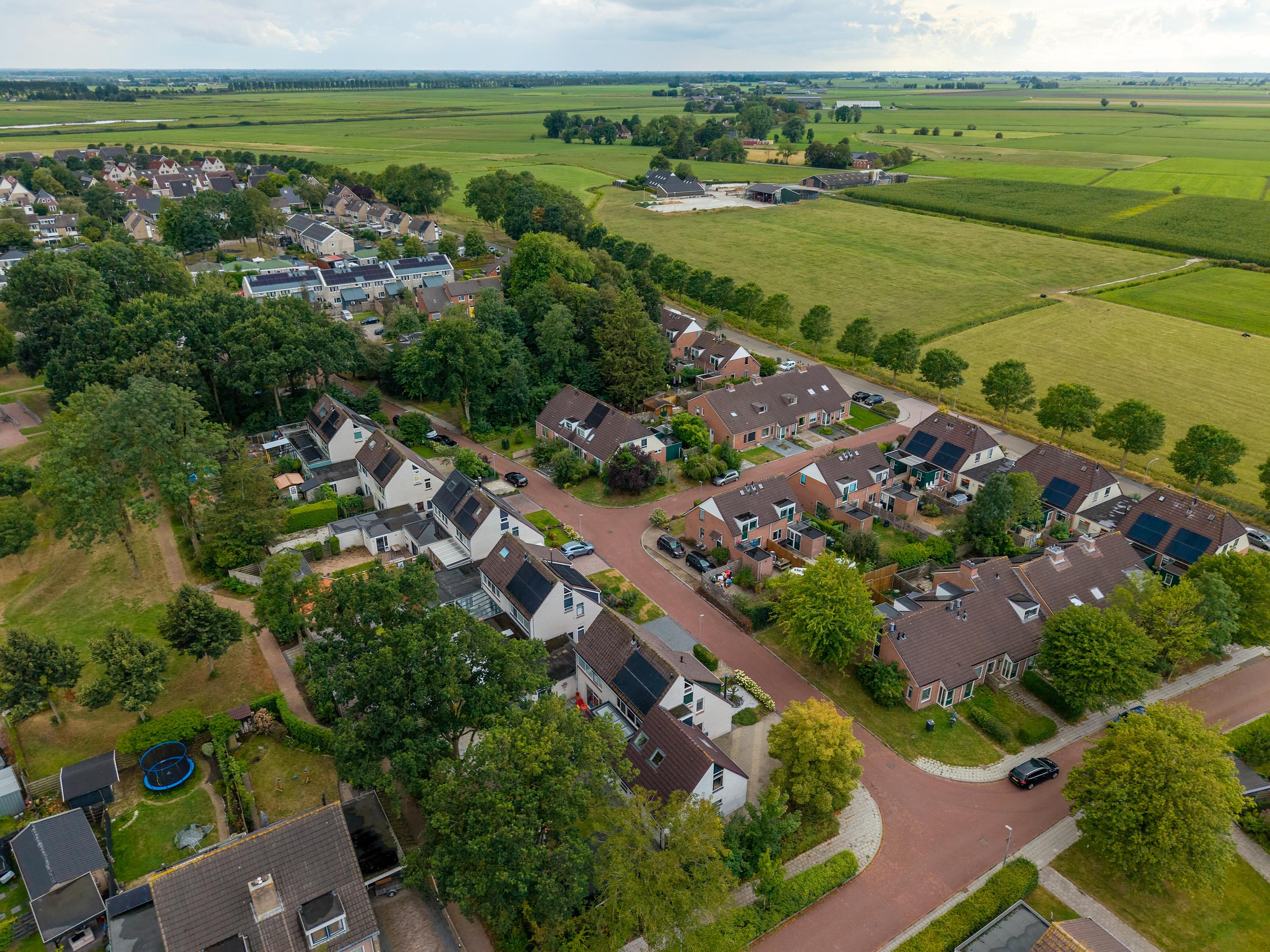 Patrijs 2 Grijpskerk - Afbeelding 67.jpg