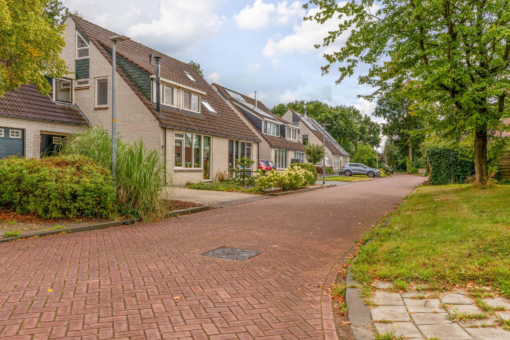 Patrijs 2 Grijpskerk - Afbeelding 60.jpg